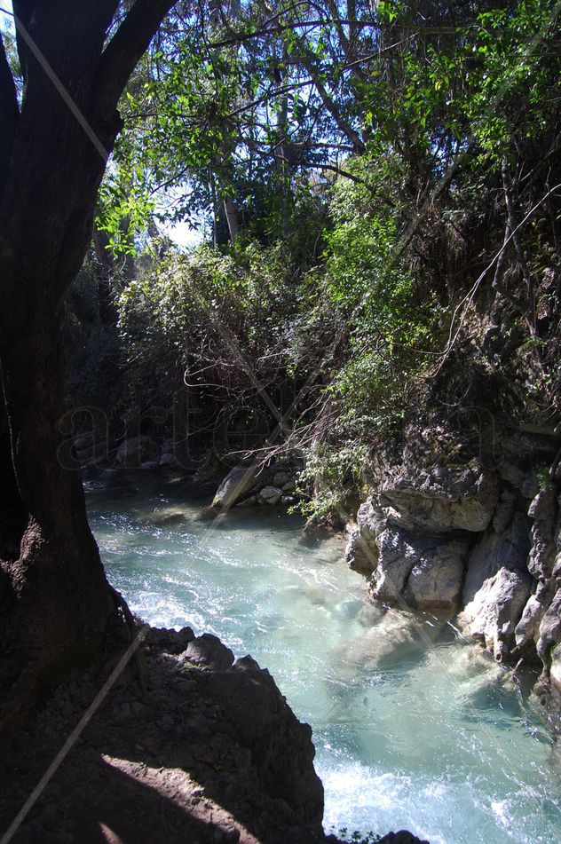 RÍO MAJACEITE