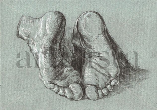 PIES A.DURERO