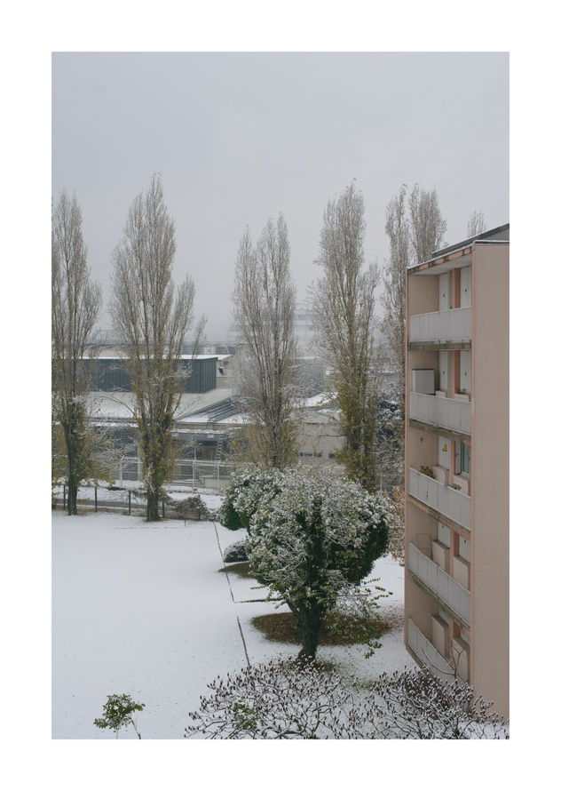 Nieve desde mi ventana / 13-11.045