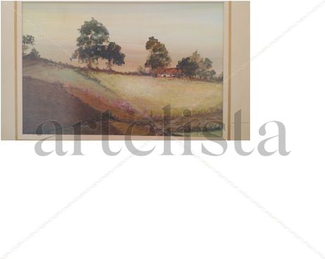 Paisaje,  ricardo...