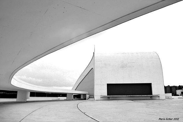 Línea curva Architecture and Interiorism Black and White (Digital)