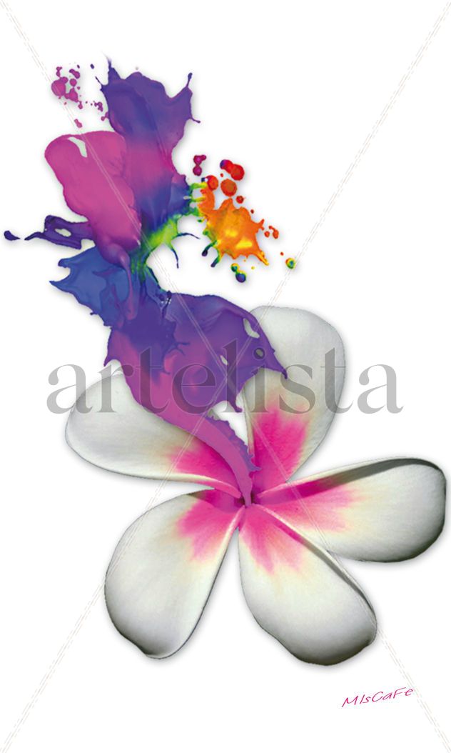 Explosión floral
