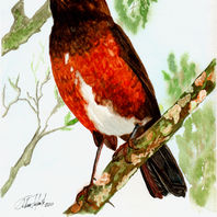 obra
