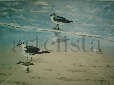 Gaviotas y Gallego