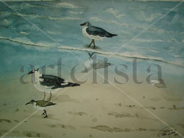 Gaviotas y Gallego Acuarela Cartulina Paisaje