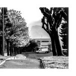 Blanco y negro thumbnail 2