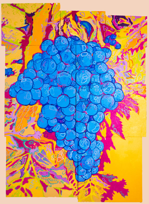 Tempranillo,Cencibel o Tinta fina del país