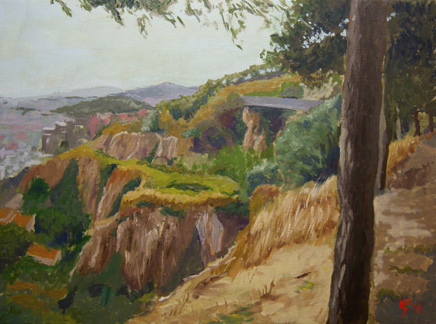 La pedrera de Can Baró