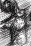 torso