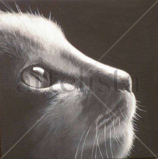 Mirada Oil Canvas Animals