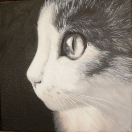Gatito