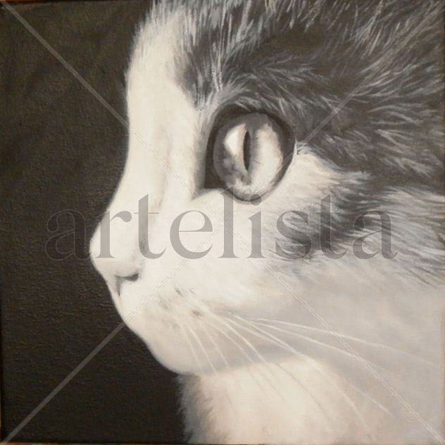 Gatito
