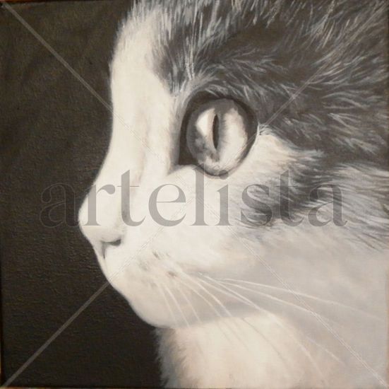 Gatito Oil Canvas Animals