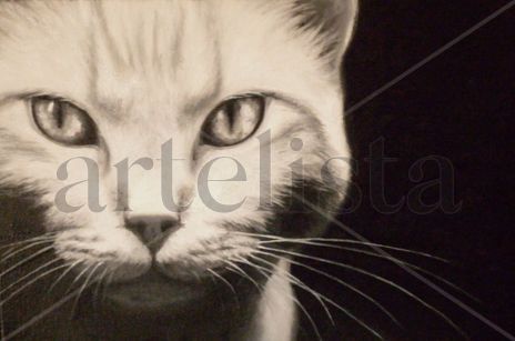 Mirada profunda