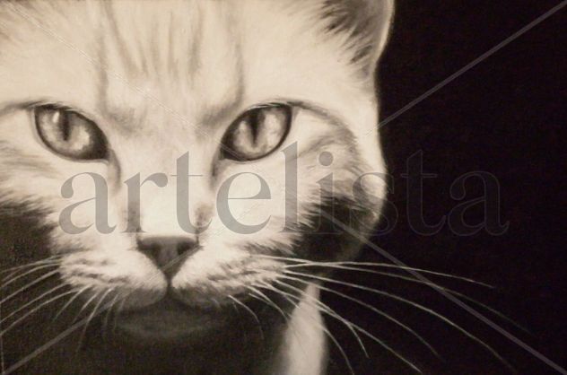 Mirada profunda