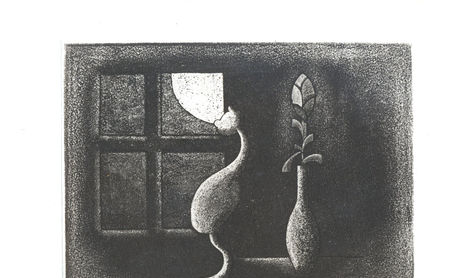 JARDINES DE PIEDRA