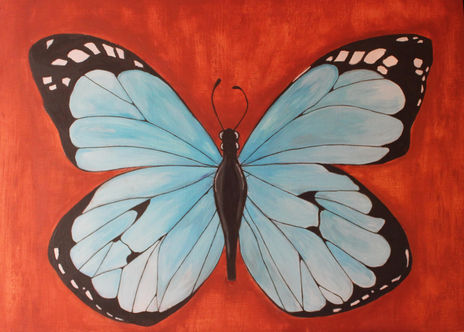 Butterfly