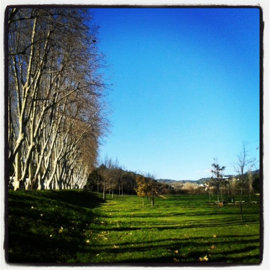 cielo de invierno