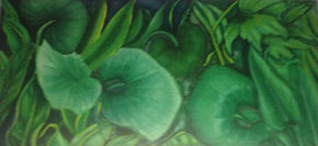 Mundo Vegetal 1982