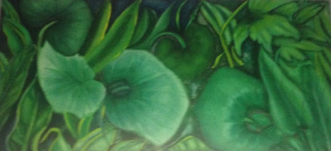 Mundo Vegetal 1982
