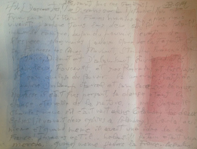 banderas UE Francia 014