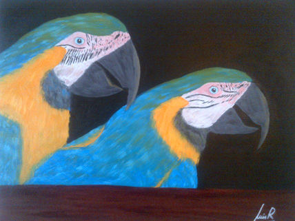 Guacamayos