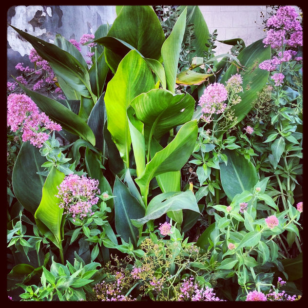 esplendor en primavera