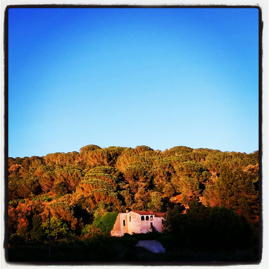 casa abandonada a su suerte Naturaleza Color (Digital)