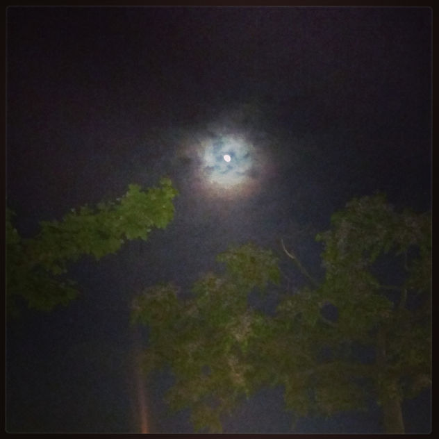 pequeñísima luna