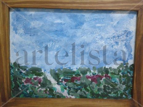 Campos de frutillas
