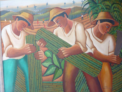 Cana de açucar