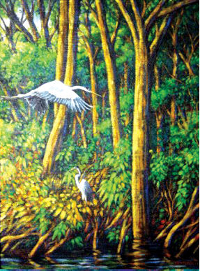 RIO AMAZONAS II