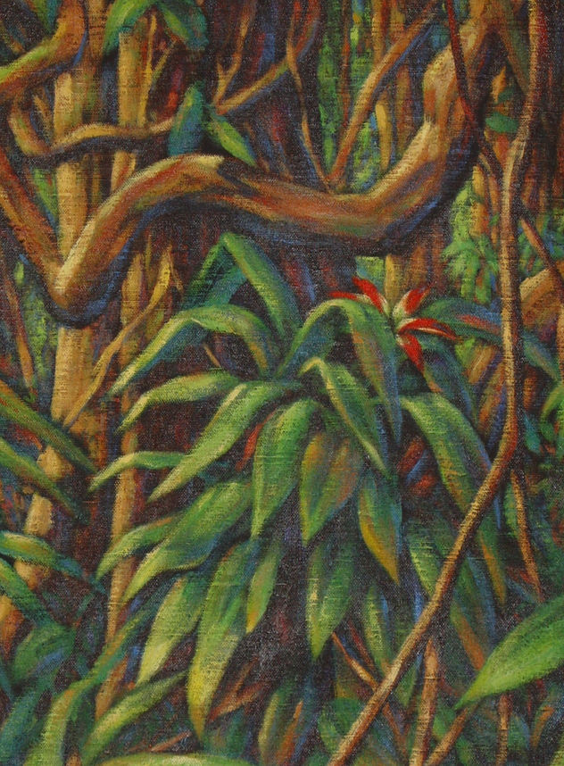 RIO AMAZONAS III