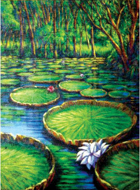 VITORIA REGIA Acrylic Canvas Landscaping