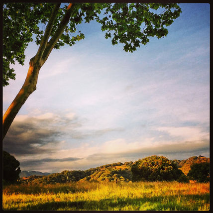 Paisaje al atardecer