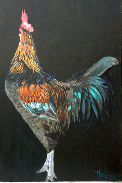 Gallo 1