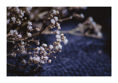 Softly.