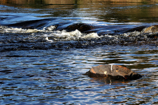 Water/Agua 