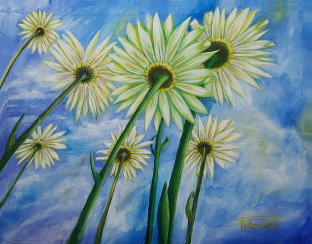 Margaritas al Cielo Oil Canvas Floral Painting