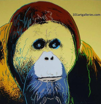Orangutan