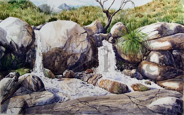 NACIMIENTO DE UN RIO