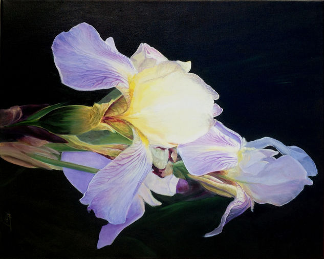 Iris Oil Canvas Floral Painting