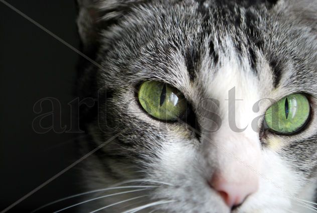 Ojos verdes
