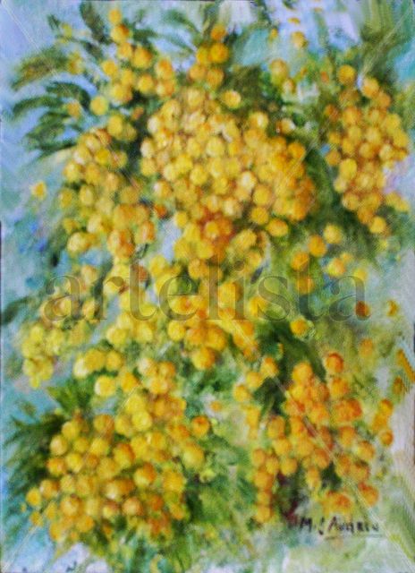 Mimosa II