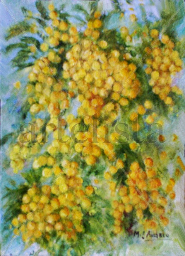 Mimosa II