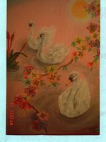 CISNES