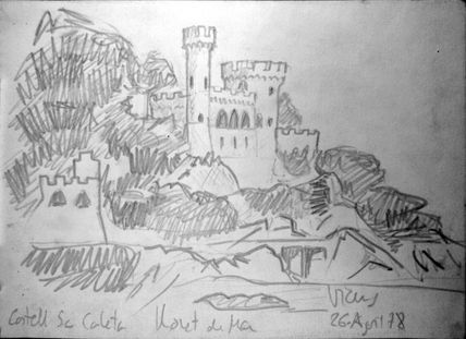 Castell d'en Plaja