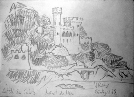 Castell d'en Plaja
