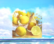 Llimones d'estiu/Limones de verano
