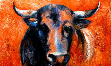 Toros